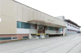 Csarnok Oberbipp Kiadó Svájc