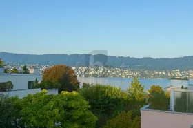 Gulv Leilighet  til leie i Zollikon-Zollikerberg, Sveits