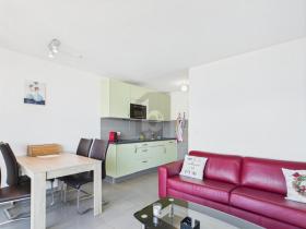 Plat Linse Te Koop Zwitserland