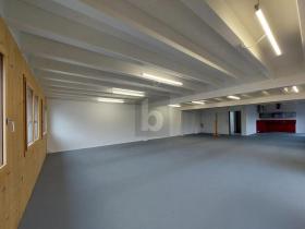 spazio ufficio Seewen SZ In affitto Svizzera