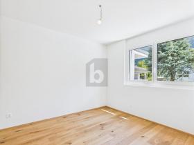 扁平 苏斯坦 瑞士