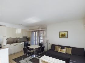 zemin apartman Orselina Satılık İsviçre