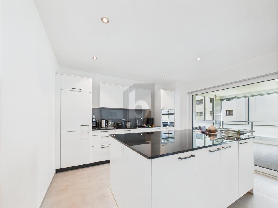 フラット ガンペル  スイス