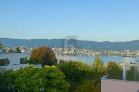 Plat te huur in Zollikon-Zollikerberg, Zwitserland Plat te huur in Zollikon-Zollikerberg, Zwitserland