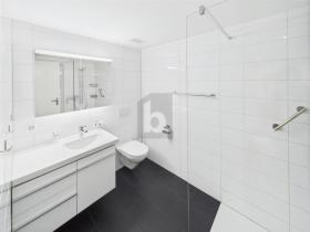 Apartamento térreo Dornach Aluguéis Suíça