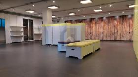 Ladenlokal Ins zu mieten Schweiz