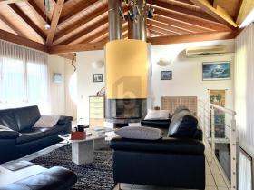 Einfamilienhaus San Nazzaro zu kaufen Schweiz