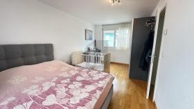 Einfamilienhaus Erlen zu kaufen Schweiz