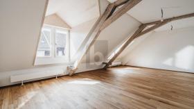 Zolder flat Basel Te Huur Zwitserland