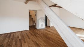Zolder flat Basel Te Huur Zwitserland