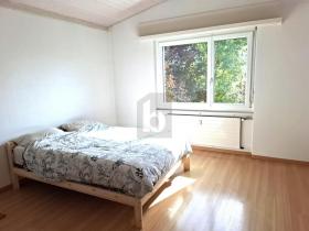 بنتهاوس ديلمونت  سويسرا