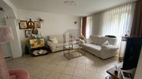 Einfamilienhaus Magadino zu kaufen Schweiz