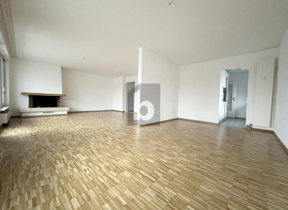 フラット ライナハ  スイス