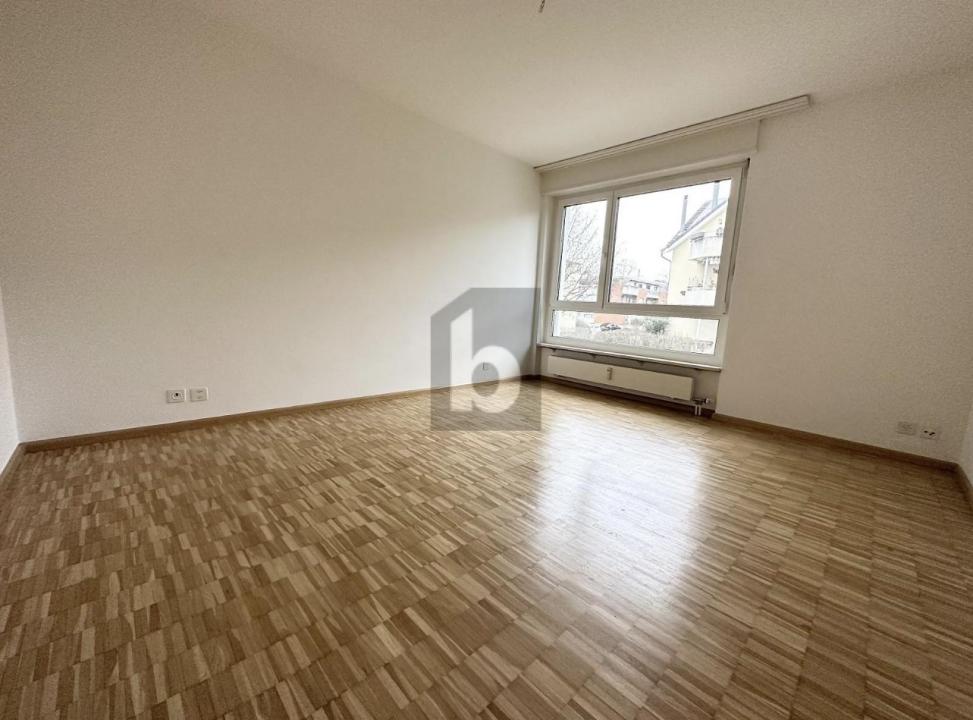 フラット ライナハ  スイス