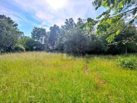 Property land/forestry for sale in Romont (FR), Switzerland Property land/forestry for sale in Romont (FR), Switzerland