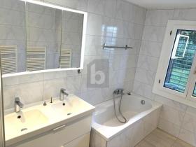 Apartamento sótão Wädenswil Aluguéis Suíça