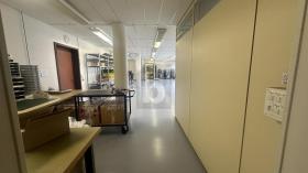 edificio per uffici Losanna Vendita Svizzera