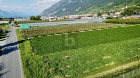 工業用地 サクソン  スイス