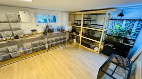 maison individuelle Werdenberg Achat Suisse