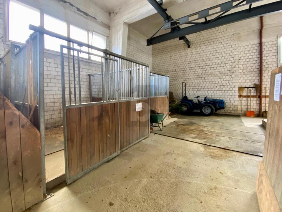 Hal Trun Te Koop Zwitserland