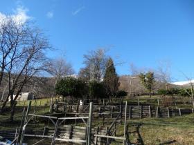 Terrain sylviculture nationale Miglieglia Achat Suisse