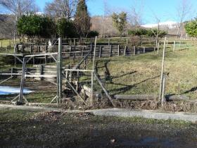 Terrain sylviculture nationale Miglieglia Achat Suisse