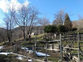 Terrain sylviculture nationale Miglieglia Achat Suisse