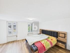 Casa plurifamiliare Rebstein Vendita Svizzera