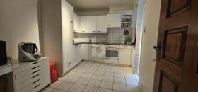 扁平 帕耶讷  瑞士