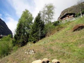 byggegrunn Eisten Sveits