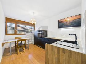 Floor Apartment Avusy for rent Switzerland