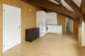 Penthouse kiadó a  oldalon. Higgadt, Svájc