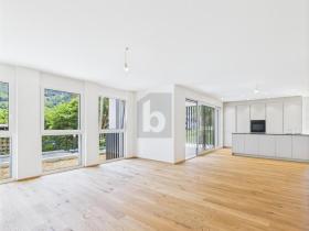 apartamento andar para alugar em Susten, Suíça apartamento andar para alugar em Susten, Suíça