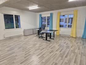 Espace de bureau pour le loyer à Steinen, Suisse Espace de bureau pour le loyer à Steinen, Suisse