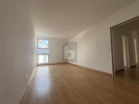 Płaski Basel Szwajcaria