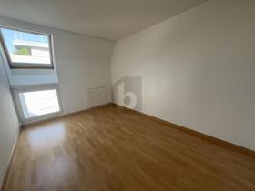 Płaski Basel Szwajcaria