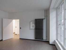 Praktijk Goldau Te Huur Zwitserland