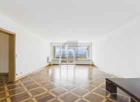 フラット ジュネーブ州 スイス