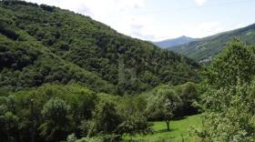 byggegrunn Certara  Sveits