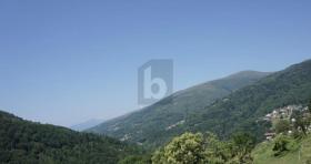 byggegrunn Certara  Sveits