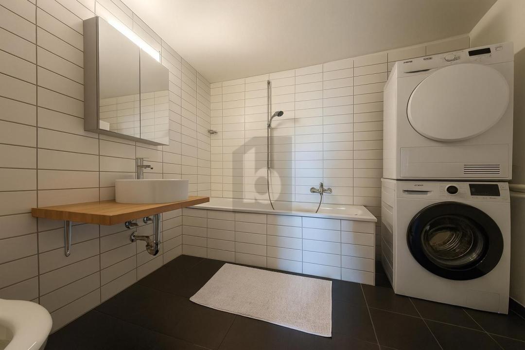 扁平 阿旺什  瑞士