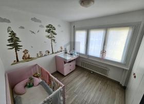 zemin apartman  Giubiasco Satılık İsviçre