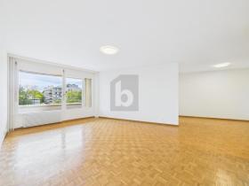 フラット ジュネーブ州  スイス