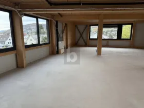 オフィススペース 賃貸 で リースタル, スイス