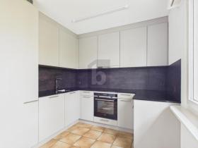 デュプレックス・フラット ディエティコン スイス