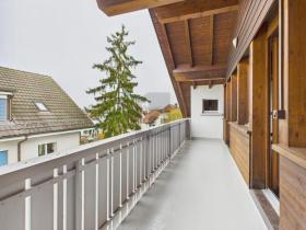 デュプレックス・フラット ディエティコン スイス