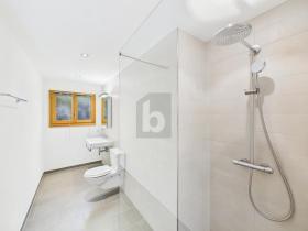 مسطحة Malader  سويسرا