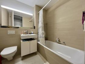 Plat Zürich Te Huur Zwitserland