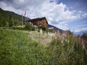 gastronomi Blitzingen Satılık İsviçre