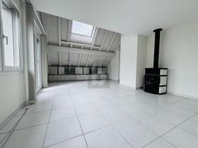 Duplex apartment Horw for rent Switzerland